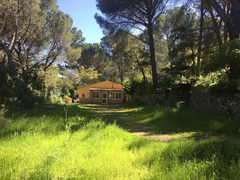 La Casita Del Rio Guadiato * Cordoba